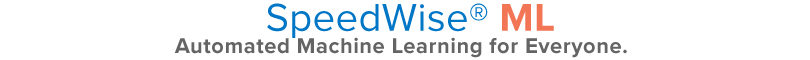 SpeedWise ML Logo - Wordmark